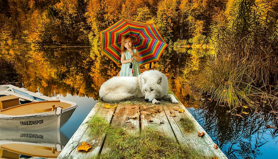 white dog and girl on brown wooden dock during daytime, lake HD wallpaper