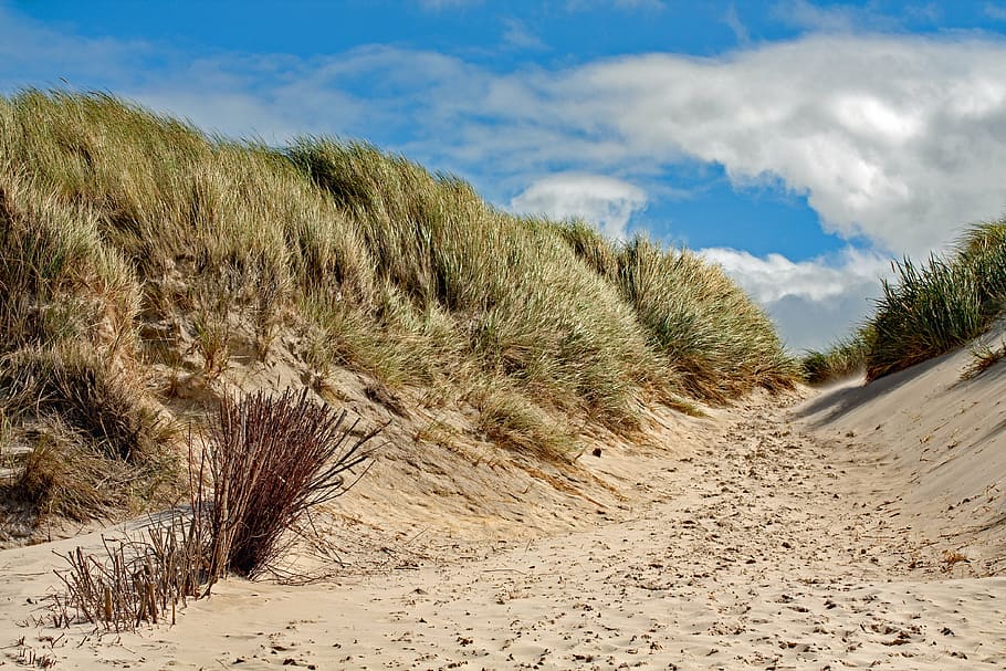 dune, amrum, island, north sea, sky, holiday, clouds, sand dune, HD wallpaper
