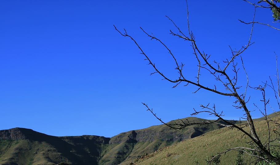 Sky, Clear, Pure, bright, blue, mountain tops, slopes, dry branches HD wallpaper