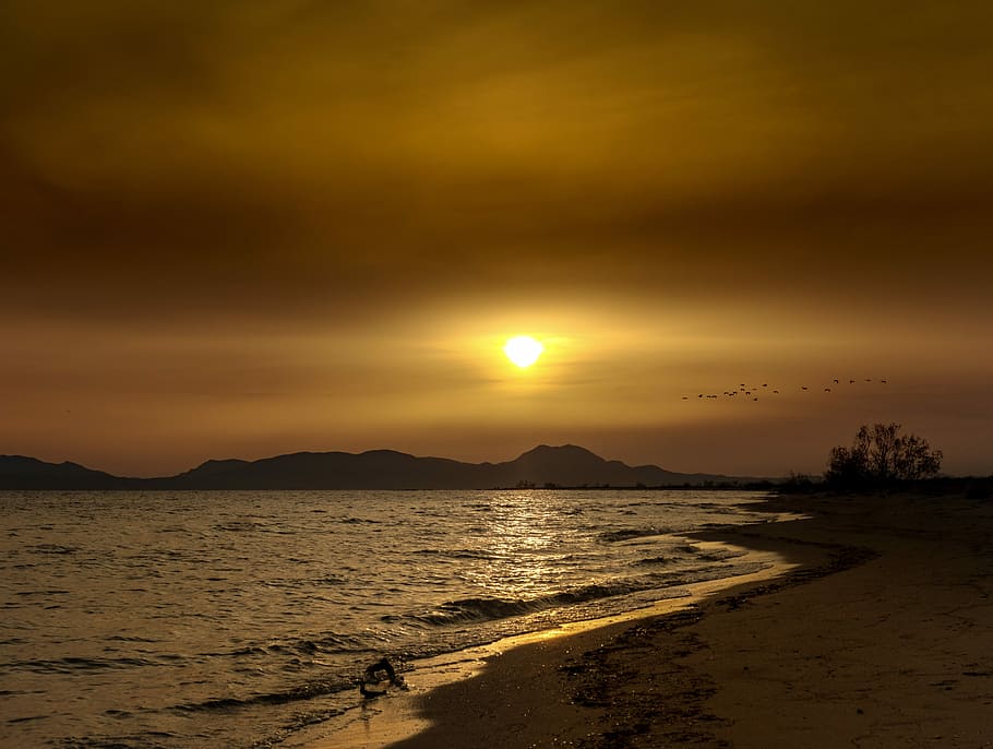 seashore during sunset, beach, sky, nature, landscape, mountains HD wallpaper