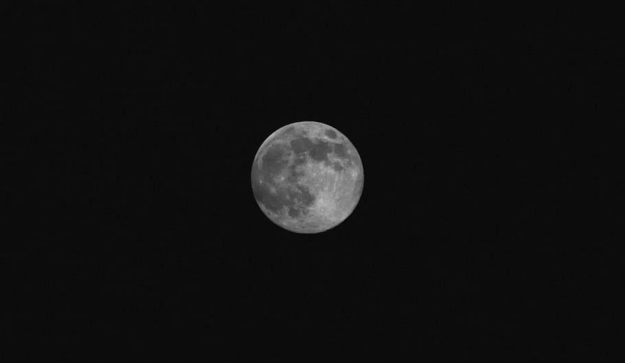 june full moon, strawberry moon, apogee, nature, skyscape, landscape, HD wallpaper