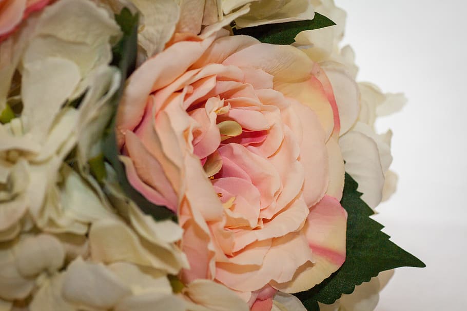 flower, display, wedding, rose, pretty, flowering plant, beauty in nature HD wallpaper
