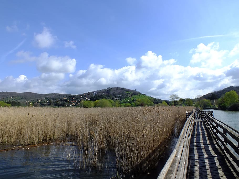 web, nature, water, lake, landscape, sky, plant, tranquility HD wallpaper