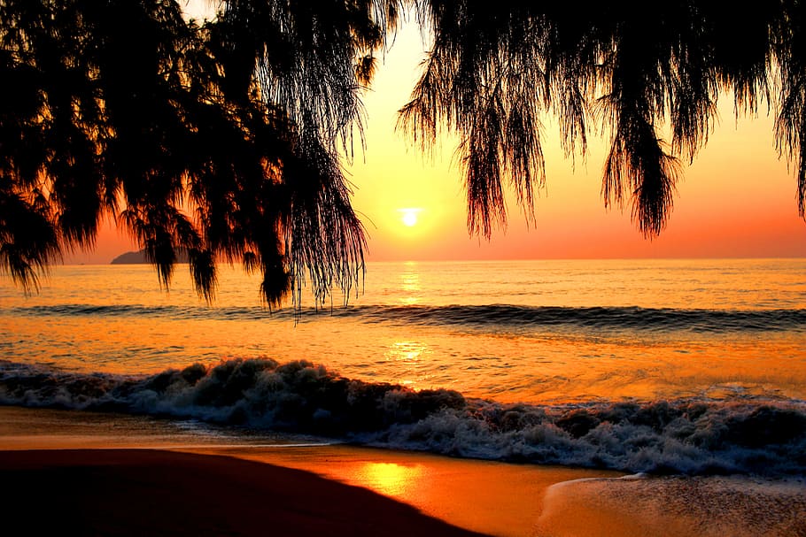 sea, sunset, light, beach, nature, water, beauty in nature HD wallpaper
