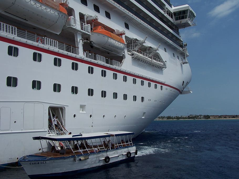 Cruise, Ship, Carnival, Docking, Boat, nautical vessel, transportation HD wallpaper