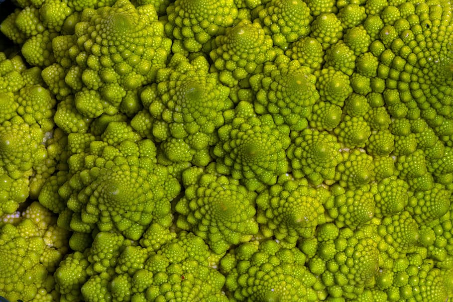 closeup photo of Romanesco broccoli, vegetables, macro, cauliflower