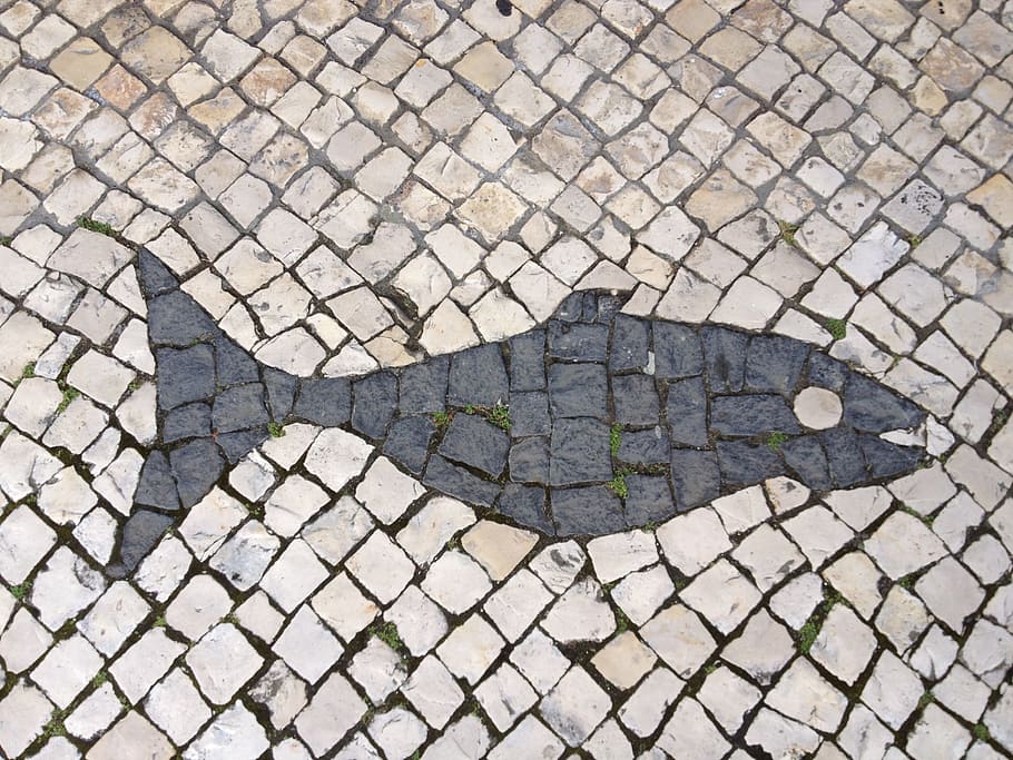 Fish, Mosaic, Stone, street, sidewalk, road, asphalt, cobblestone HD wallpaper
