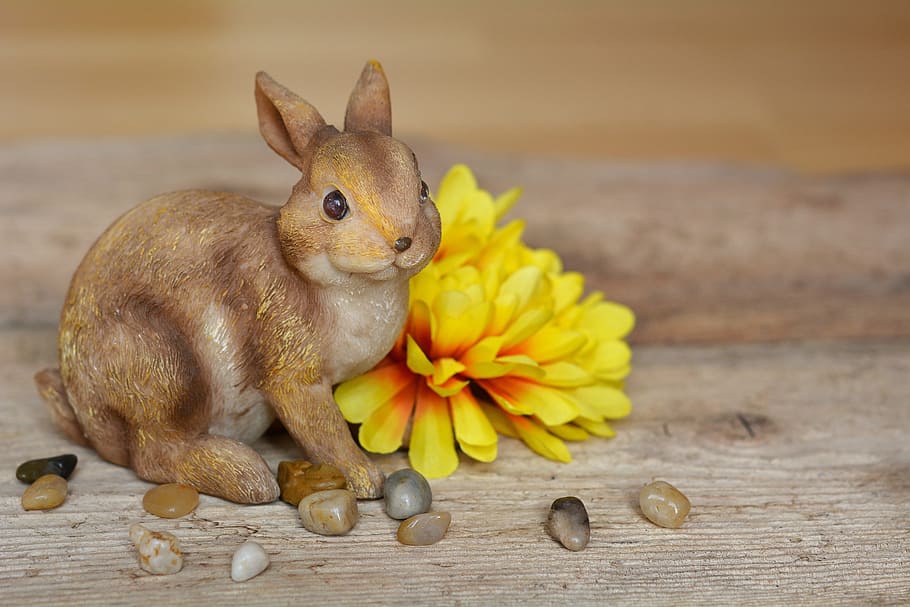 Hare, Easter Bunny, dekohase, dekoblume, flower, yellow, blossom HD wallpaper