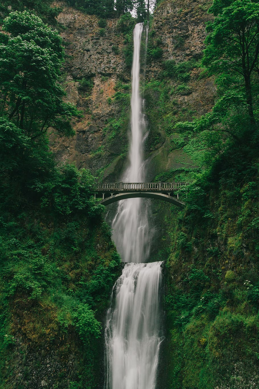 time-lapse photograph of waterfalls, nature, trees, woods, forest HD wallpaper