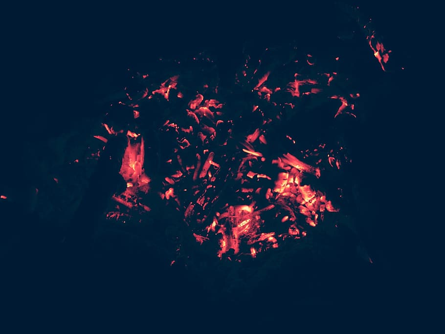 coals, bonfire, firewood, black, campfire, fever, burns, orange HD wallpaper