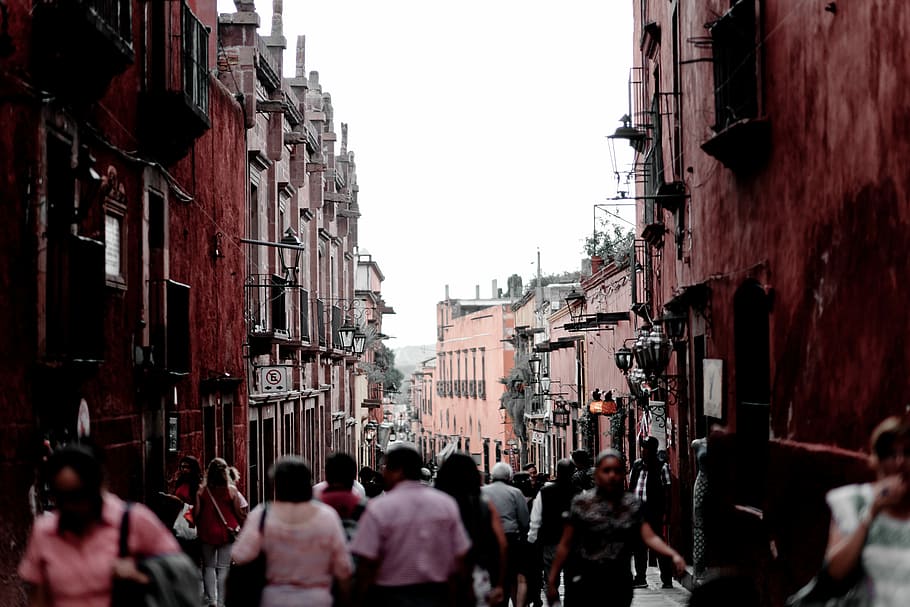 people walking on street during daytime, group of people walking on road between buildings, HD wallpaper