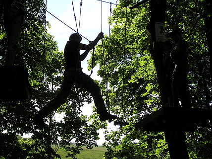 silhouette of man climbing rope on top of trees at daytime HD wallpaper