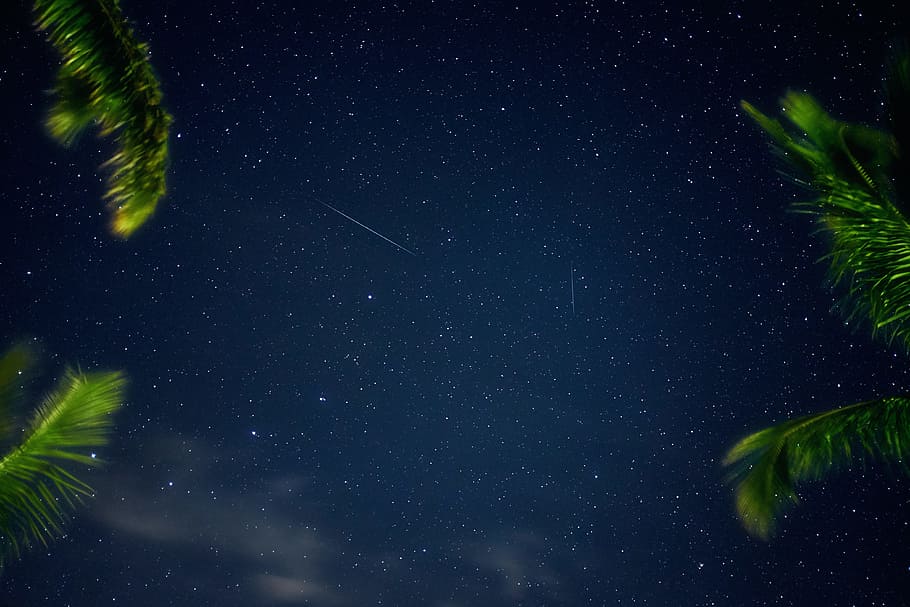 view of starry sky, blue sky with stars, photo, shooting star HD wallpaper