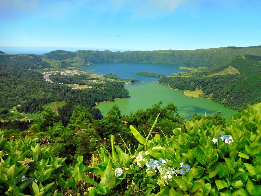 green leafed trees, Lakes, Islands, Azores, Nature, landscpe, HD wallpaper