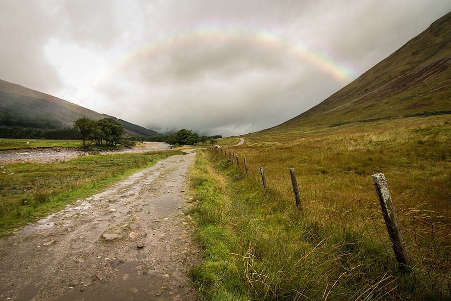 road, path, green, grass, nature, highland, grassland, mountain HD wallpaper