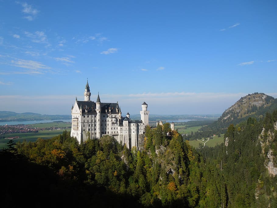 aerial view of castle inside forest during daytime, aerial view photography of white castle under clear blue sky during daytime HD wallpaper