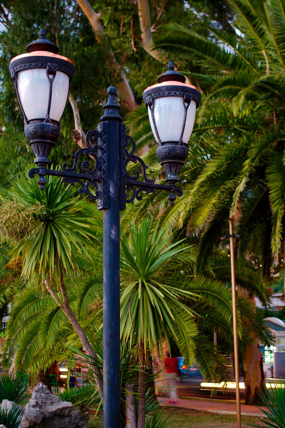 lantern, palm trees, landscape, lighting equipment, tropical climate HD wallpaper