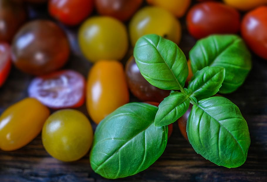 basil, tomato, wallpaper, background, food, fresh, vegetable HD wallpaper