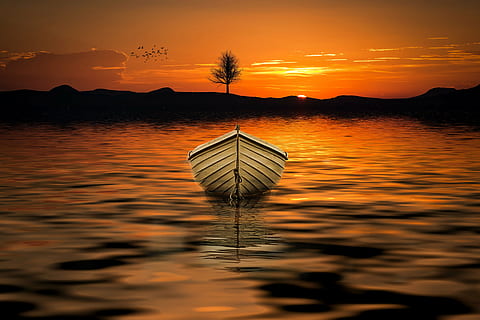 illustration of white row boat on body of water during sunset HD wallpaper