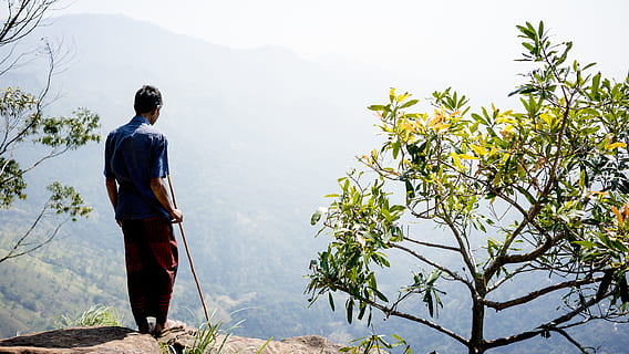man standing on mountain cliff beside green leaf plant during daytime, man in blue shirt standing on cliff HD wallpaper