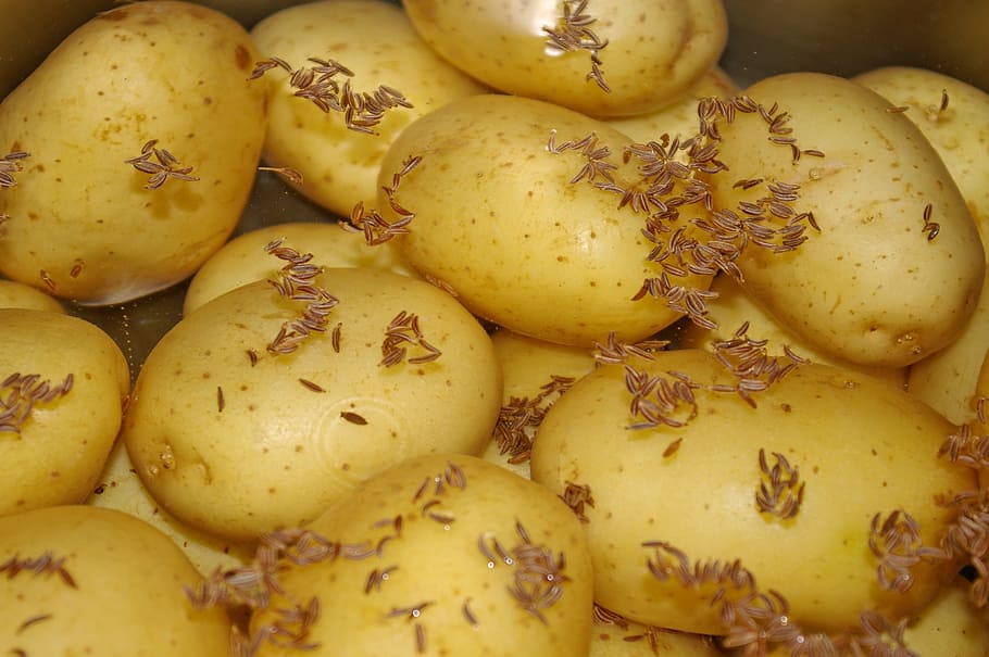 potatoes, eat, food, cooked, lunch, staple food, edible, court, HD wallpaper