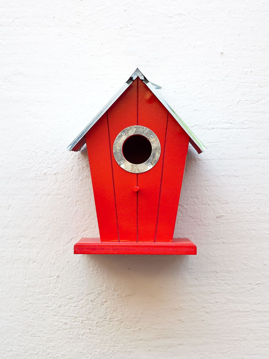 red and gray wooden nestbox, aviary, birds, nesting place, bird feeder HD wallpaper