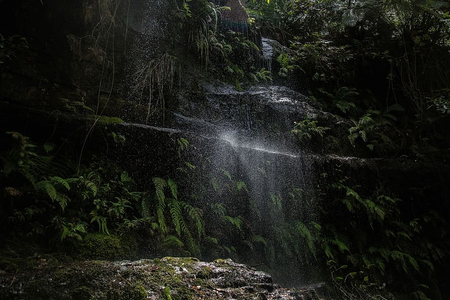water dropping from above surrounded by leaves, nature, waterfall HD wallpaper