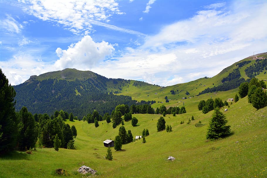 mountain, colle, prato, green, trees, nature, clouds, sky, cloud - sky HD wallpaper