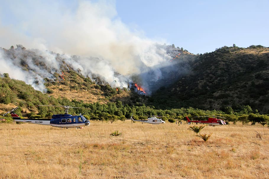 helicopters, forest fire, death, tree, firewood burned, danger HD wallpaper