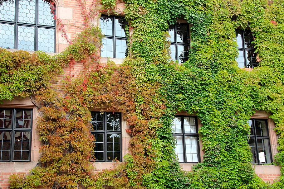 facade, glass, stone, modern, architecture, building, mirroring HD wallpaper