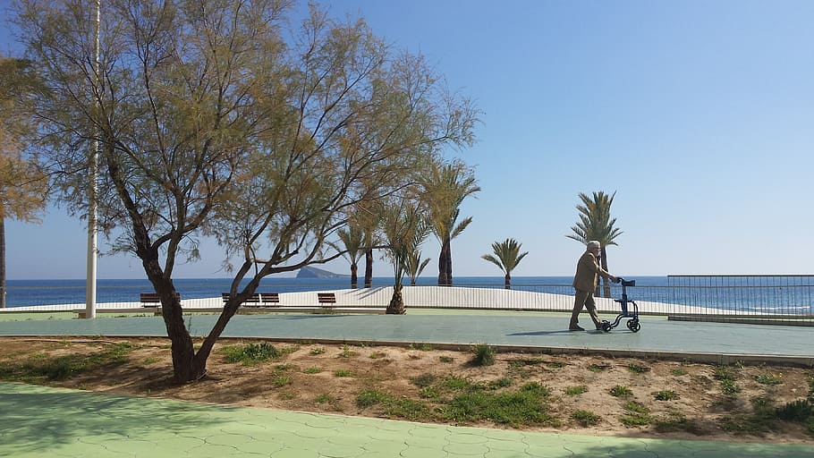 benidorm, promenade, beach, old man, walking, seaview, water HD wallpaper