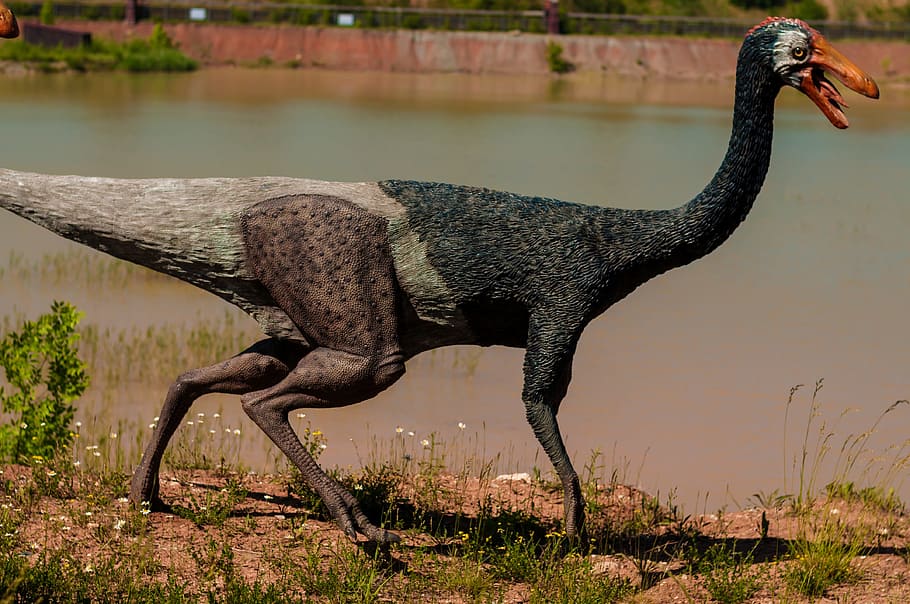 black and brown 4-legged animal with beak, Dinosaur, Gad, Mammal, HD wallpaper
