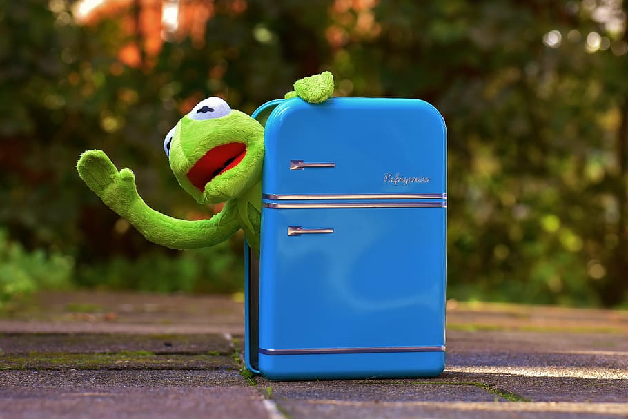 kermit, frog, refrigerator, funny, retro, green, toys, soft toy HD wallpaper