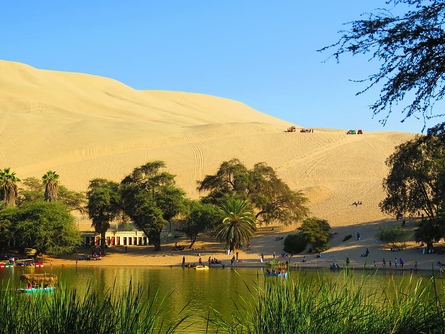 Oasis of huacachina 1080P, 2K, 4K, 5K HD wallpapers free download ...