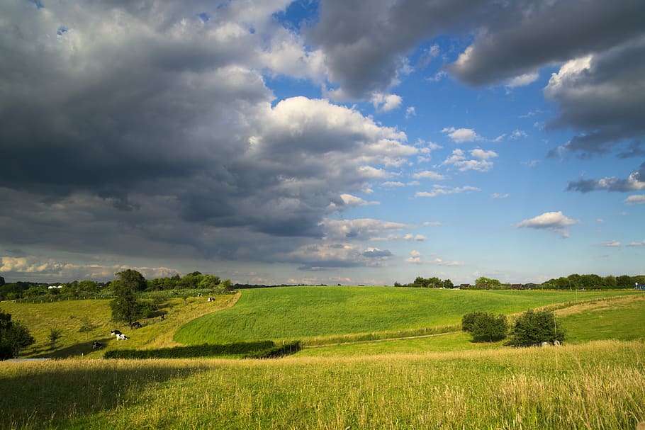 green grass with blue sky, weather, clouds, cloudy, thunderstorm HD wallpaper