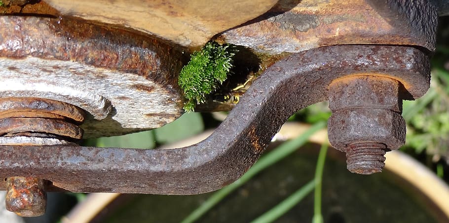 water tank, stainless, screw, thread, iron, spout, moss, close-up HD wallpaper