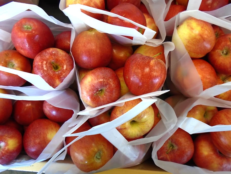 apples, fruit, red, ripe, tasty, food, fresh, delicious, nutrition HD wallpaper