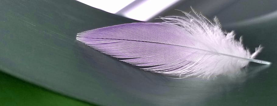 abstract, feathers, magic, texture, pattern, colorful, light HD wallpaper