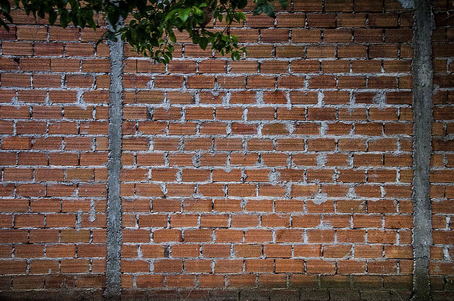 brown brick wall, green leafed trees near brown brick wall at daytime HD wallpaper
