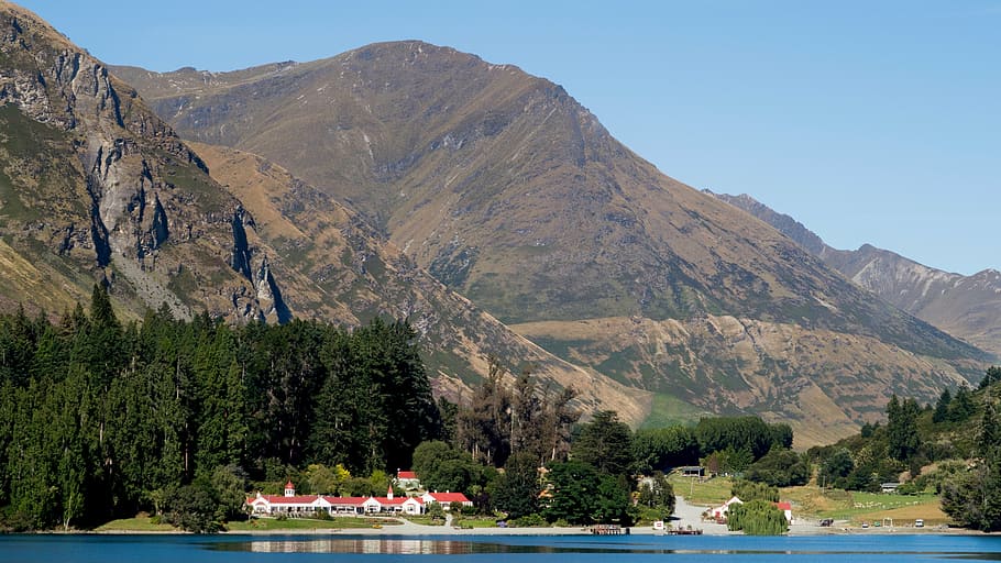 walter peak farm, lake wakatipu, cruise, farmhouse, sheep, mountains, HD wallpaper