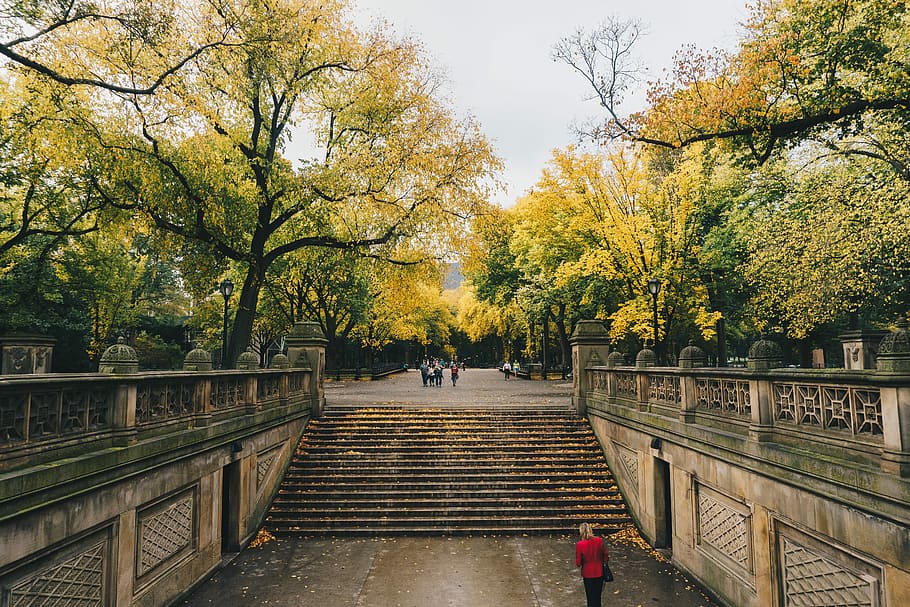photo of staircase between green leafed trees, people walking on park during daytime HD wallpaper