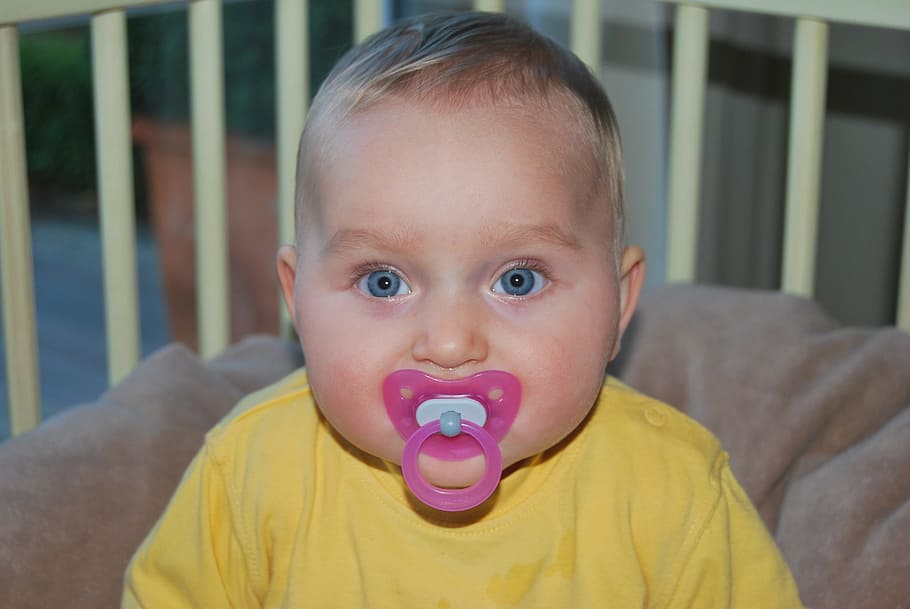 Child, People, Pacifier, Tut, baby, childhood, looking at camera