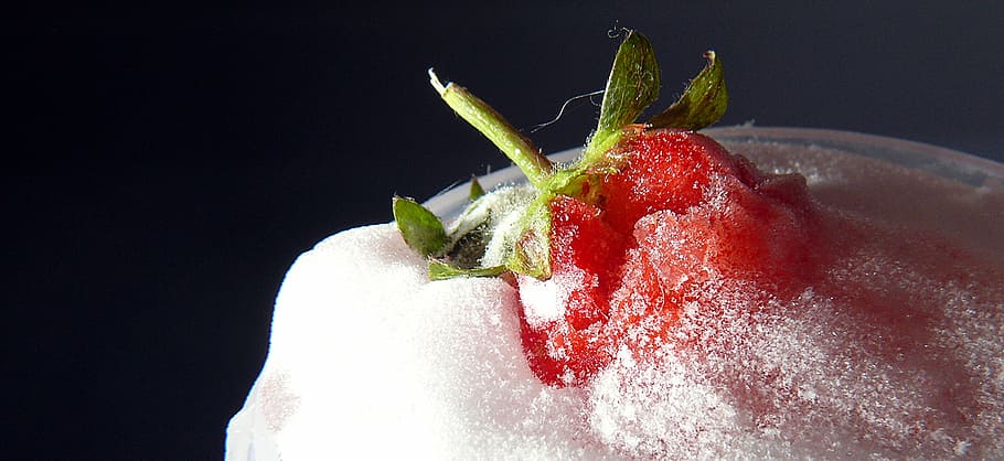 appetizing, berry, delicate, delicious, ice, strawberry, strawberry in the ice HD wallpaper