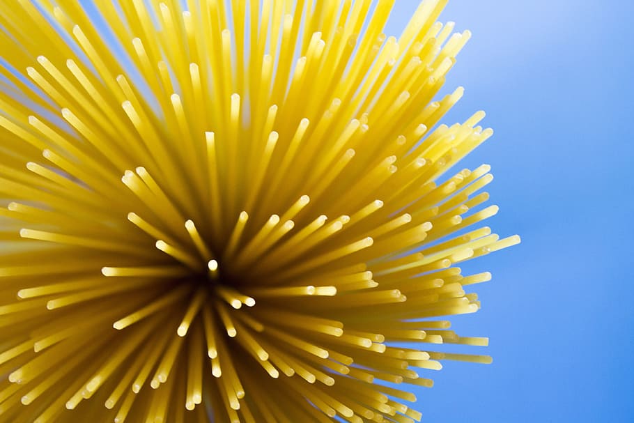 selective focus photography of spaghetti pasta, food, kitchen HD wallpaper