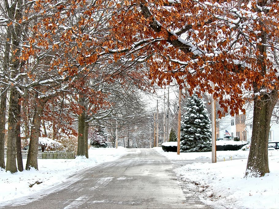 winter, snow, road, ice, peaceful, quiet, frozen, silent, season HD wallpaper