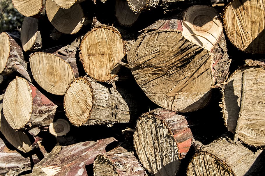 Lena, Trunk, Wood, Trees, Cut, Firewood, cut firewood, brown HD wallpaper