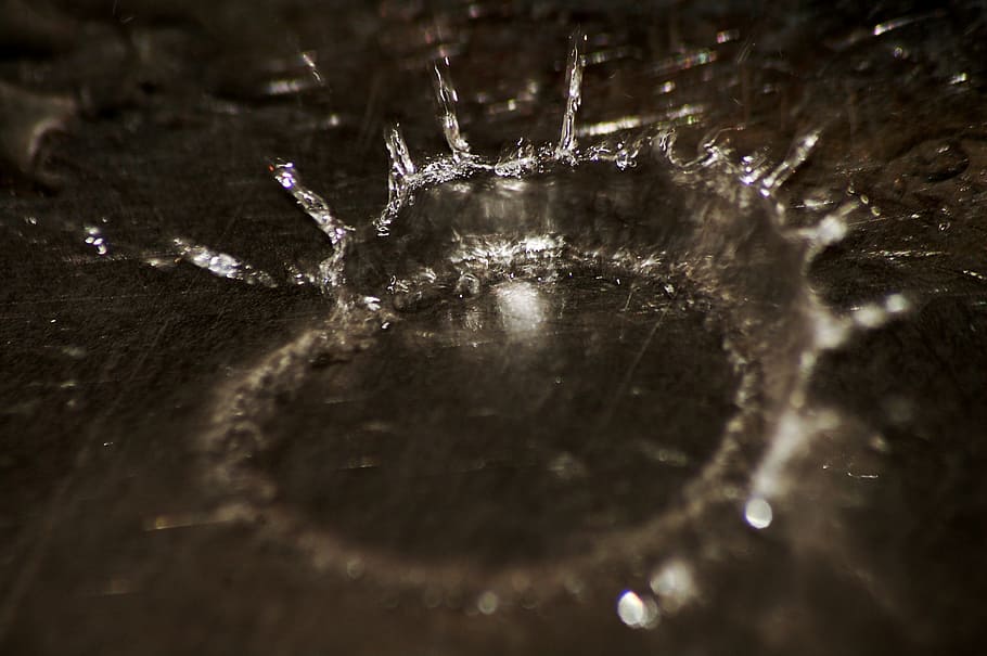 water droplet, waterdrop, macro, liquid, bubble, clear, transparent HD wallpaper