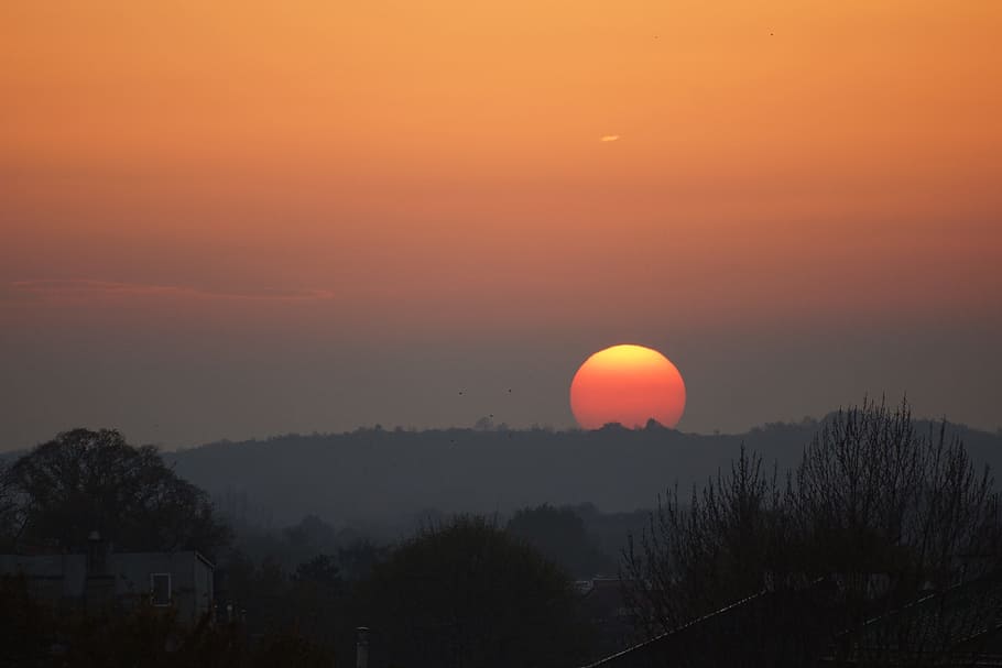 Sunset, Nature, Orange Sky, Twilight, beauty in nature, tree HD wallpaper