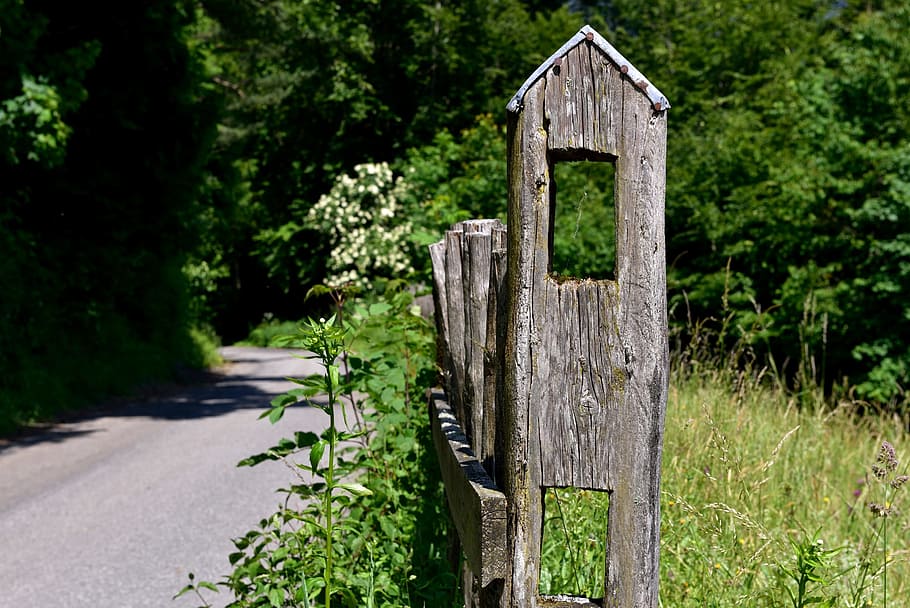 fence, post, pile, wooden posts, nature, away, wood fence, close HD wallpaper