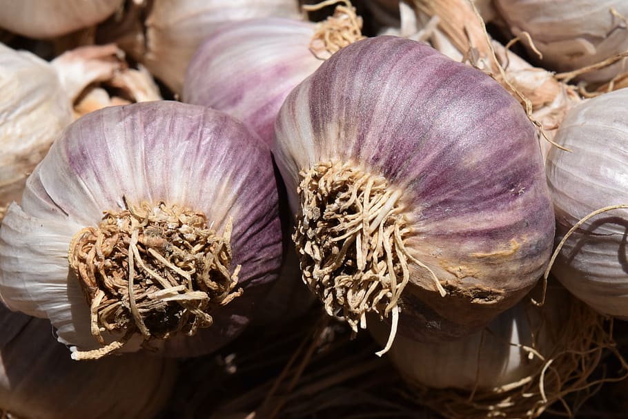 garlic, heads of garlic, tubers, food, eat, spice, sharp, healthy, HD wallpaper